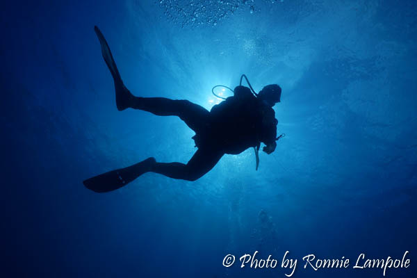 diving in Cayo coco