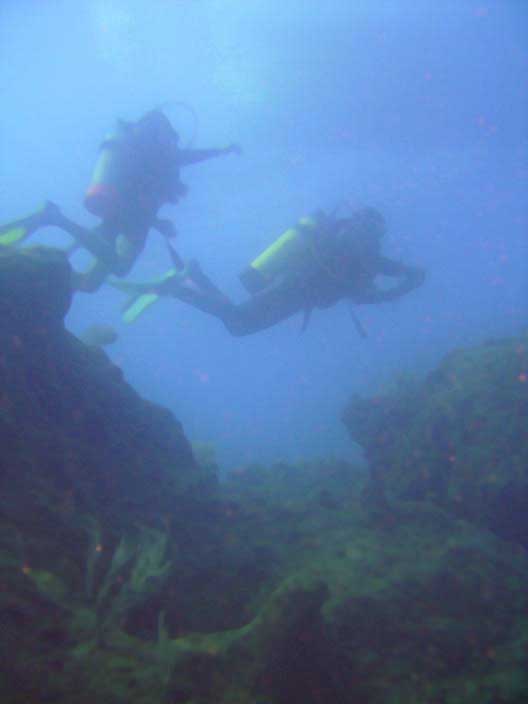 Divers