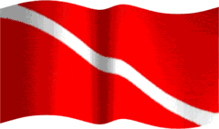 Diving Flag Animated